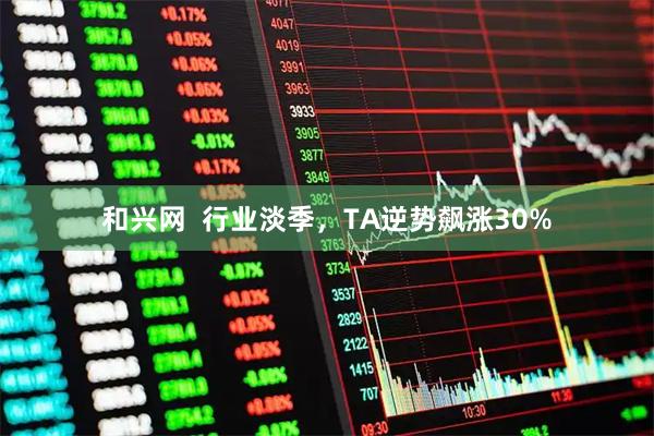 和兴网  行业淡季，TA逆势飙涨30%