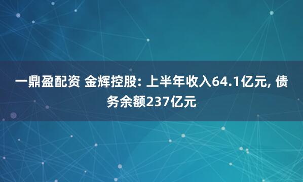 一鼎盈配资 金辉控股: 上半年收入64.1亿元, 债务余额237亿元