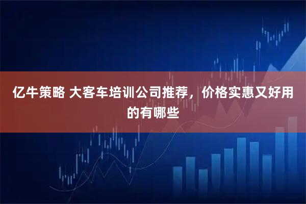 亿牛策略 大客车培训公司推荐，价格实惠又好用的有哪些